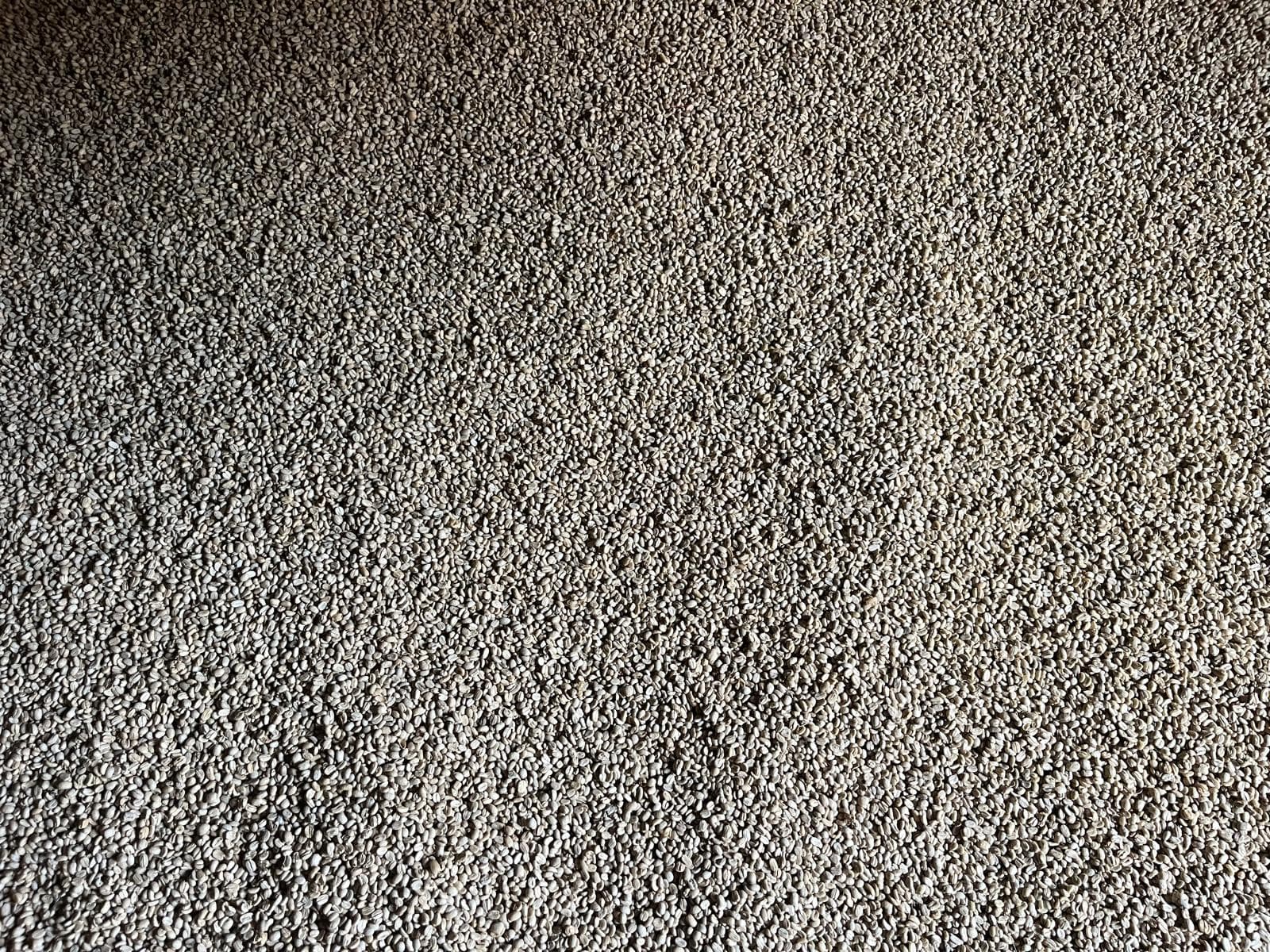 From Apprenticeship to Mastery